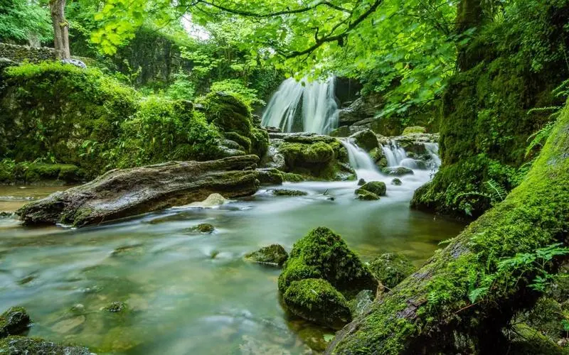 智能系统电子先进